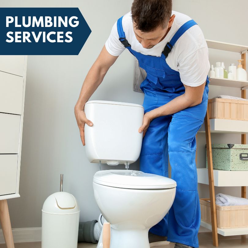 Plumbing Company in Seminole, FL